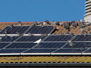 Problemas comunes de instalación de paneles solares en el techo