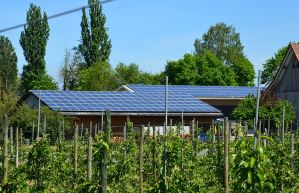 ¿Energía fotovoltaica en el suelo o paneles fotovoltaicos en el techo?